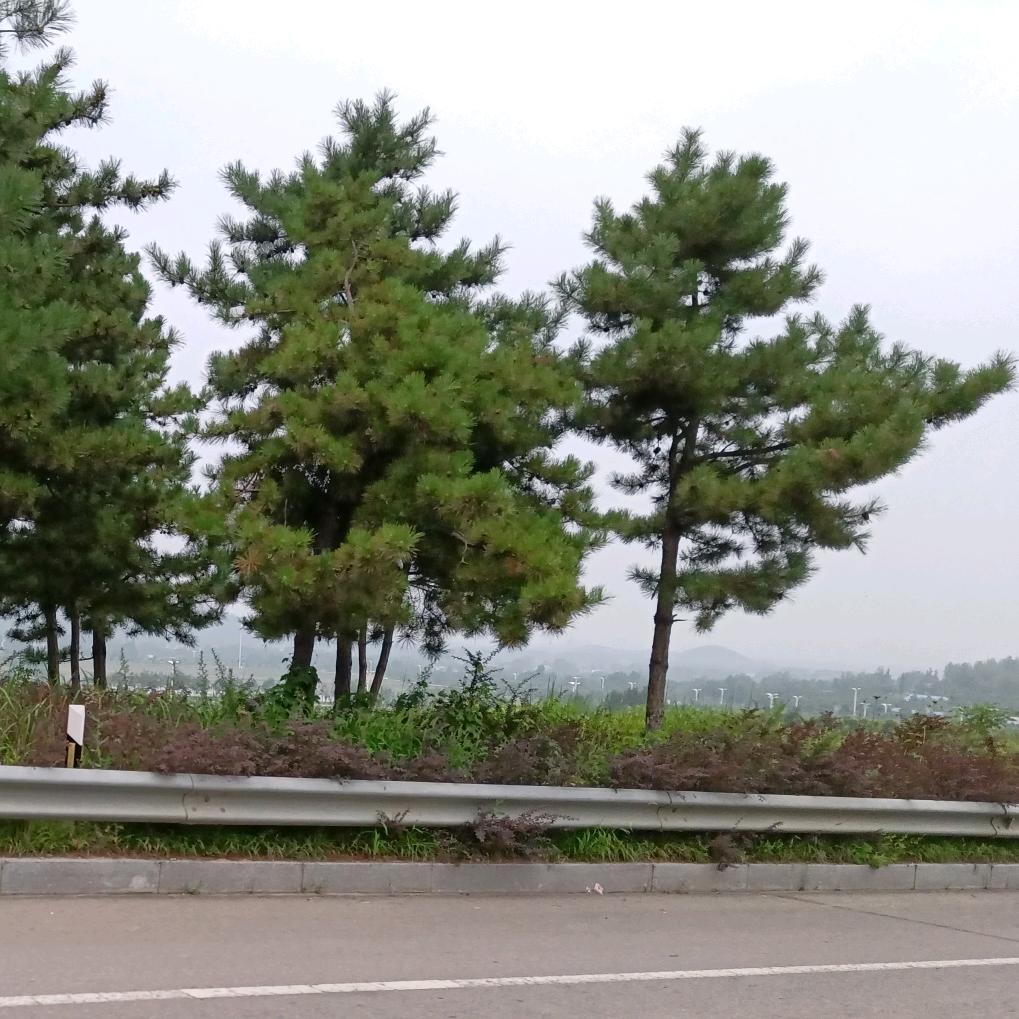 山山無川