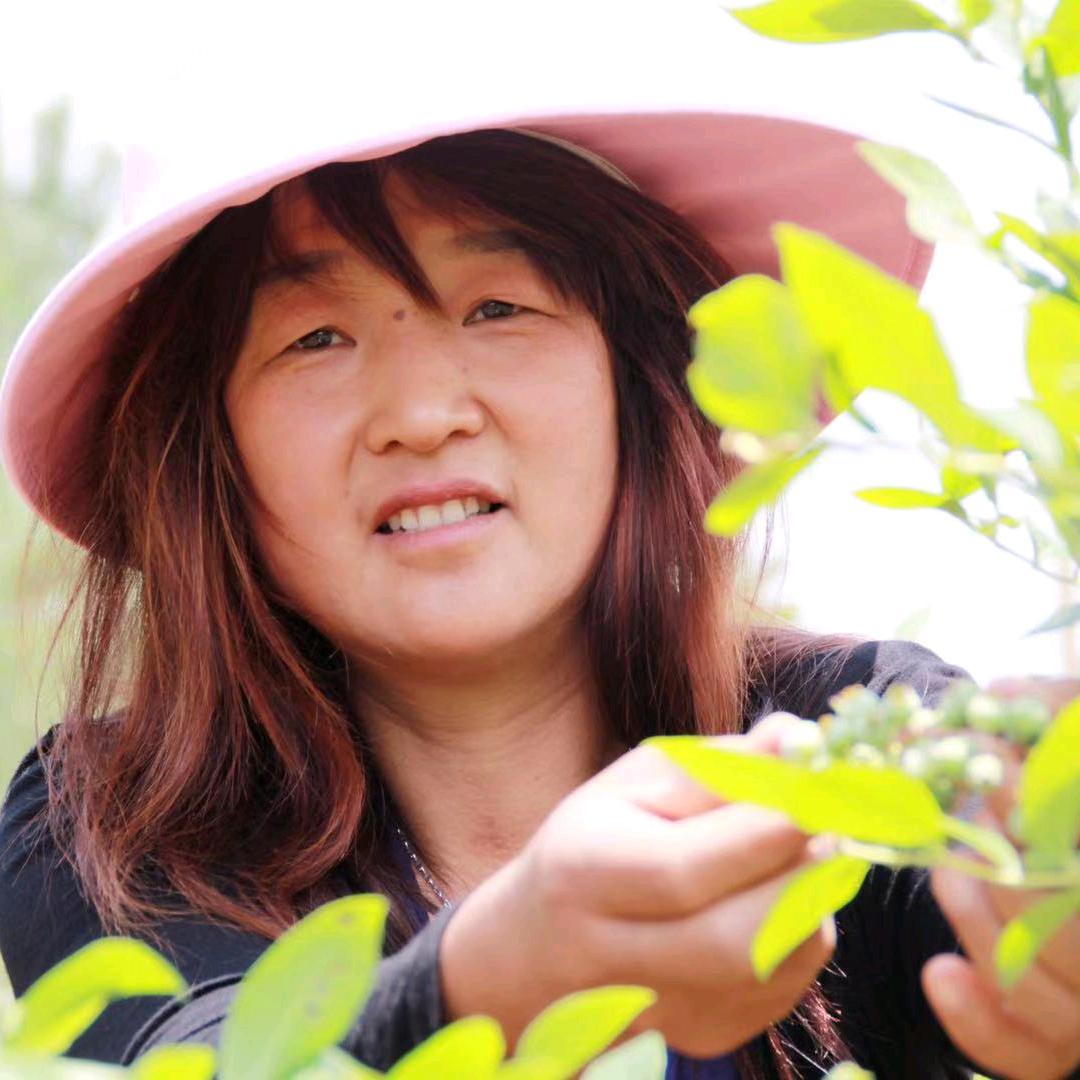 河南鲁三姐