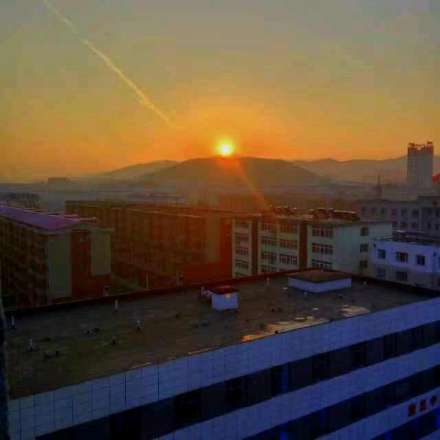 旭日东升丨