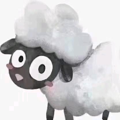 小绵羊🐏