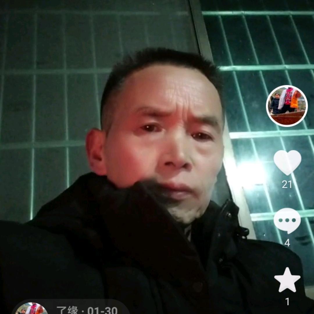一条龙