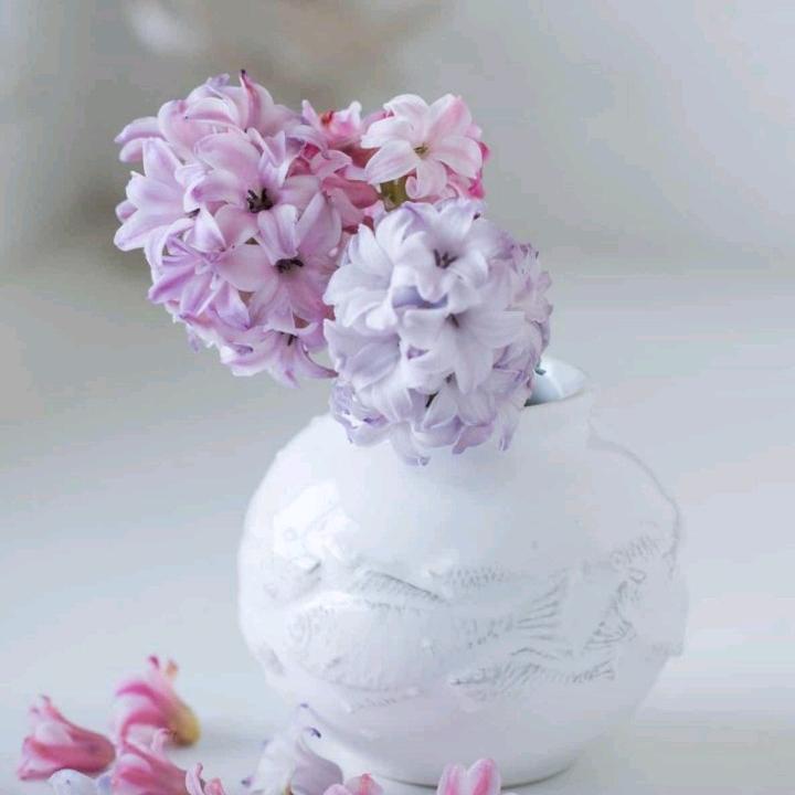春暖花开