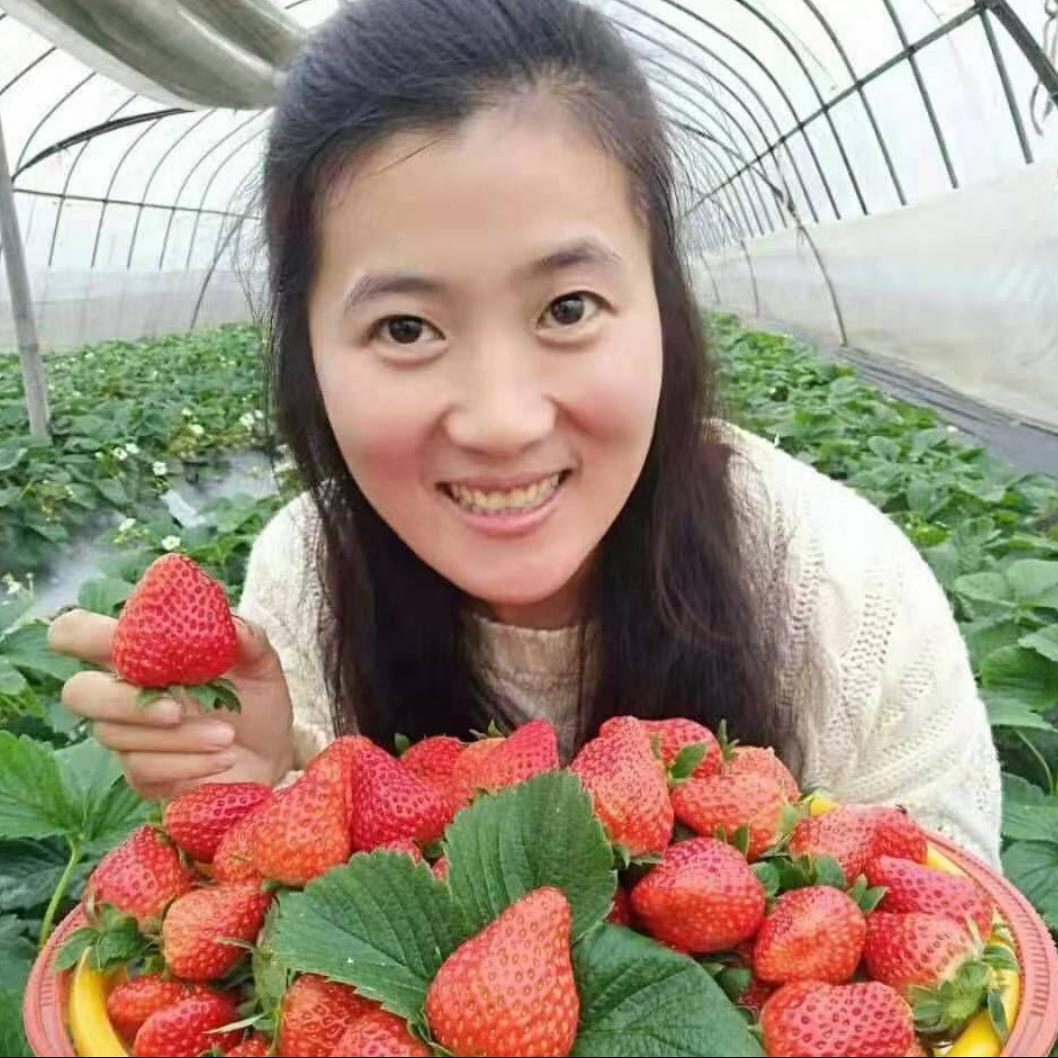 月月妈(草莓)