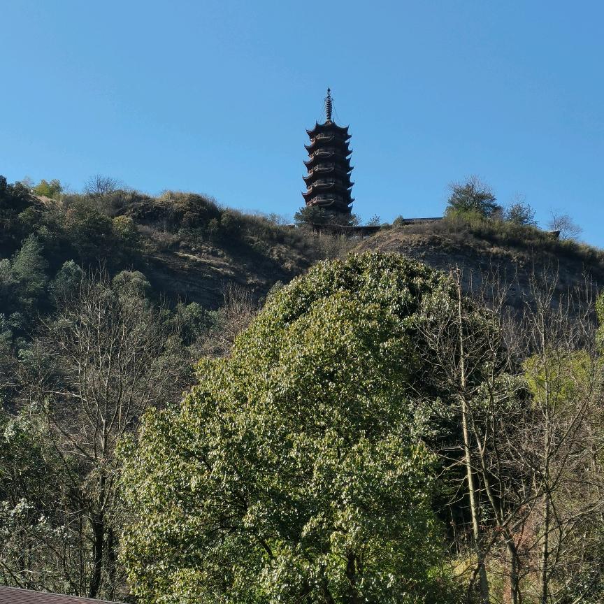 鹏鸿板材大王椰板材