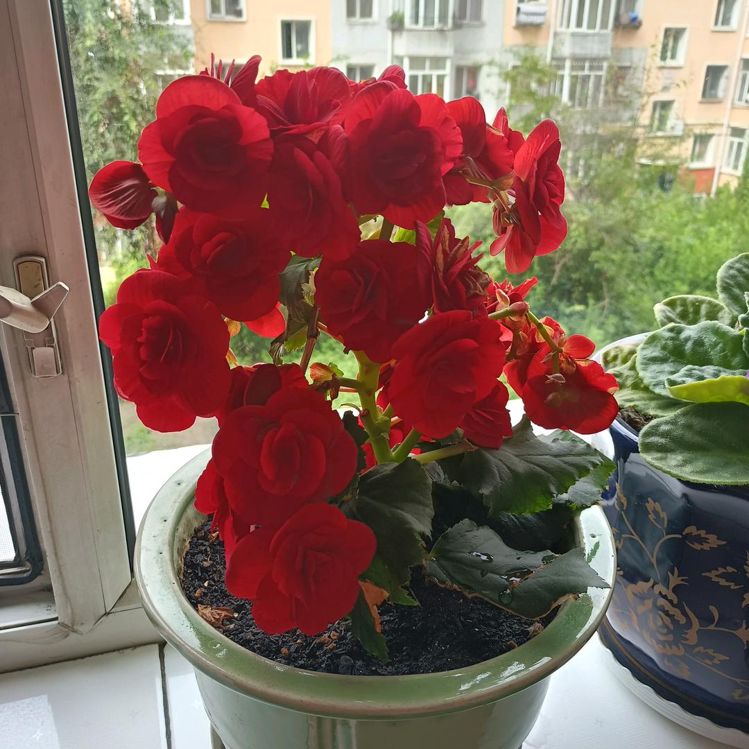 爱在今生