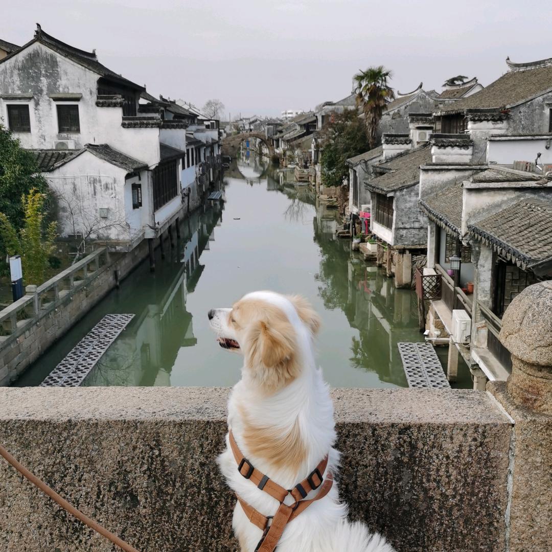 @青羽