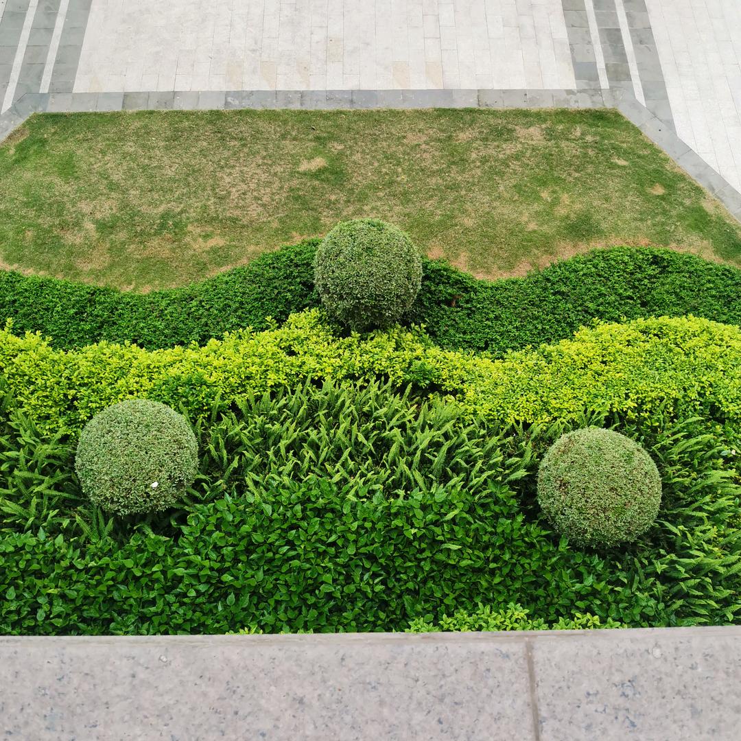 @全力以赴@（阳山县）