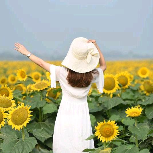 ღ᭄向日葵🌻🦋꧔ꦿ᭄💞