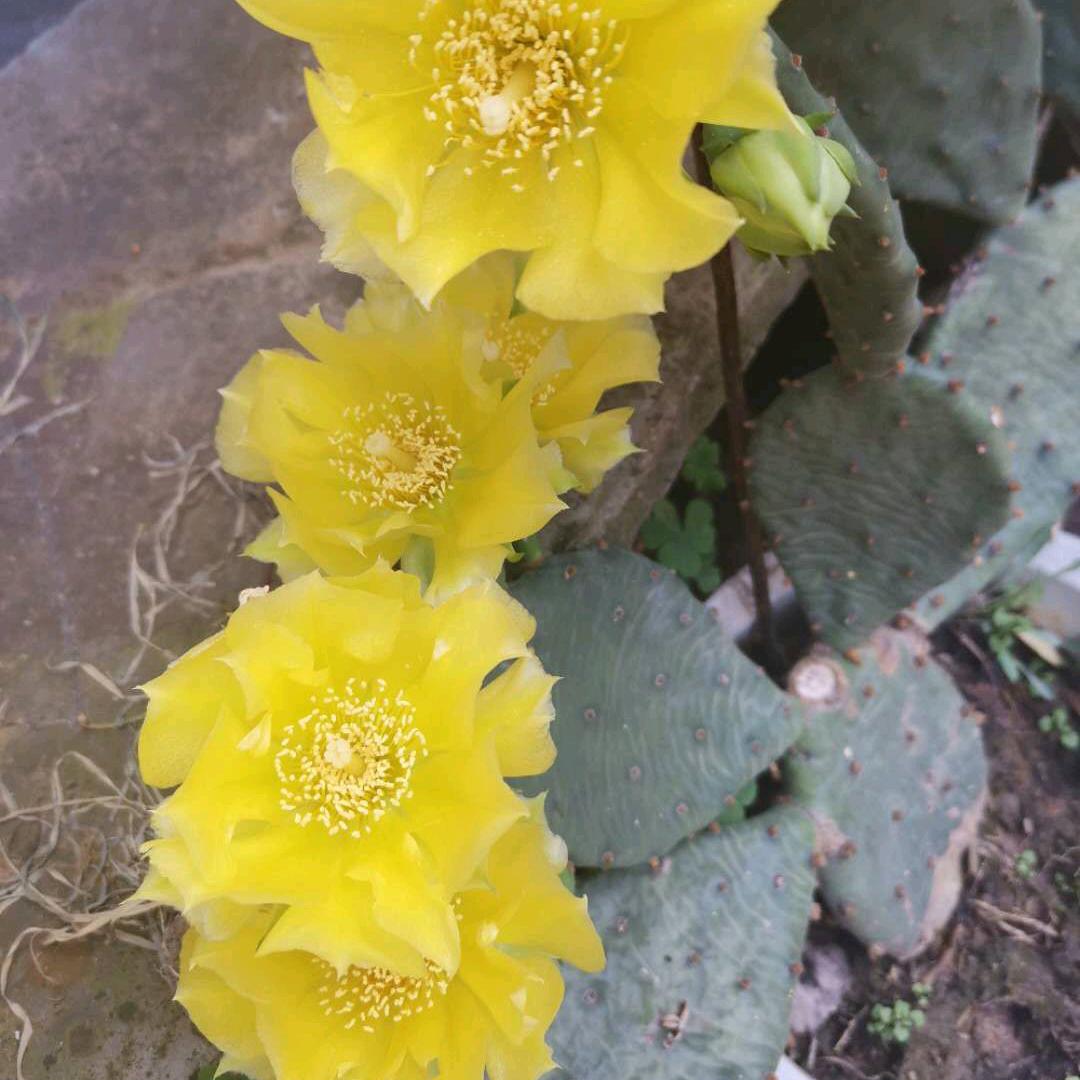 🐂⁰⁴.₂₁往事归零℘࿐