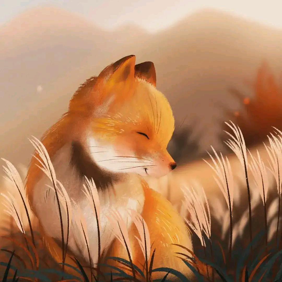 红了樱桃绿了芭蕉