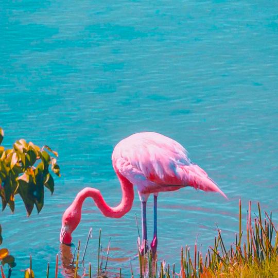 点击填写名字✎