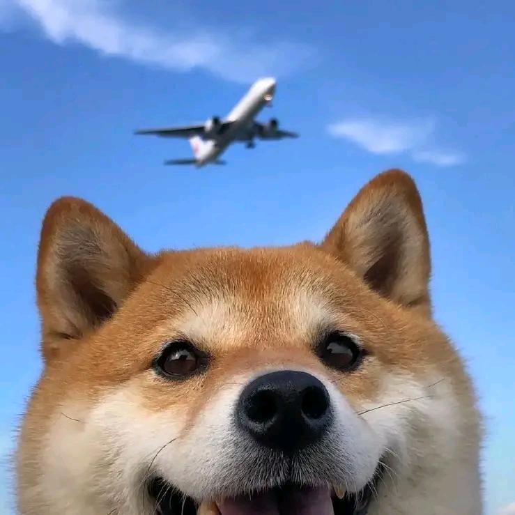 𝙃𝙚𝙡𝙡𝙤ᶻ𝗓𐰁