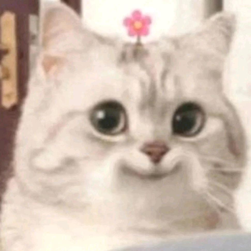 夜空中最亮的星