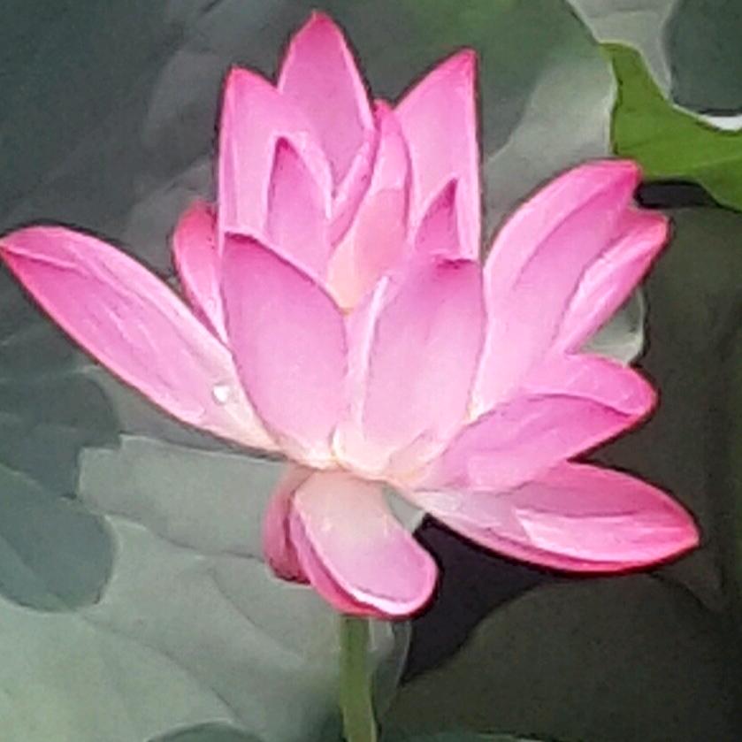 东哥