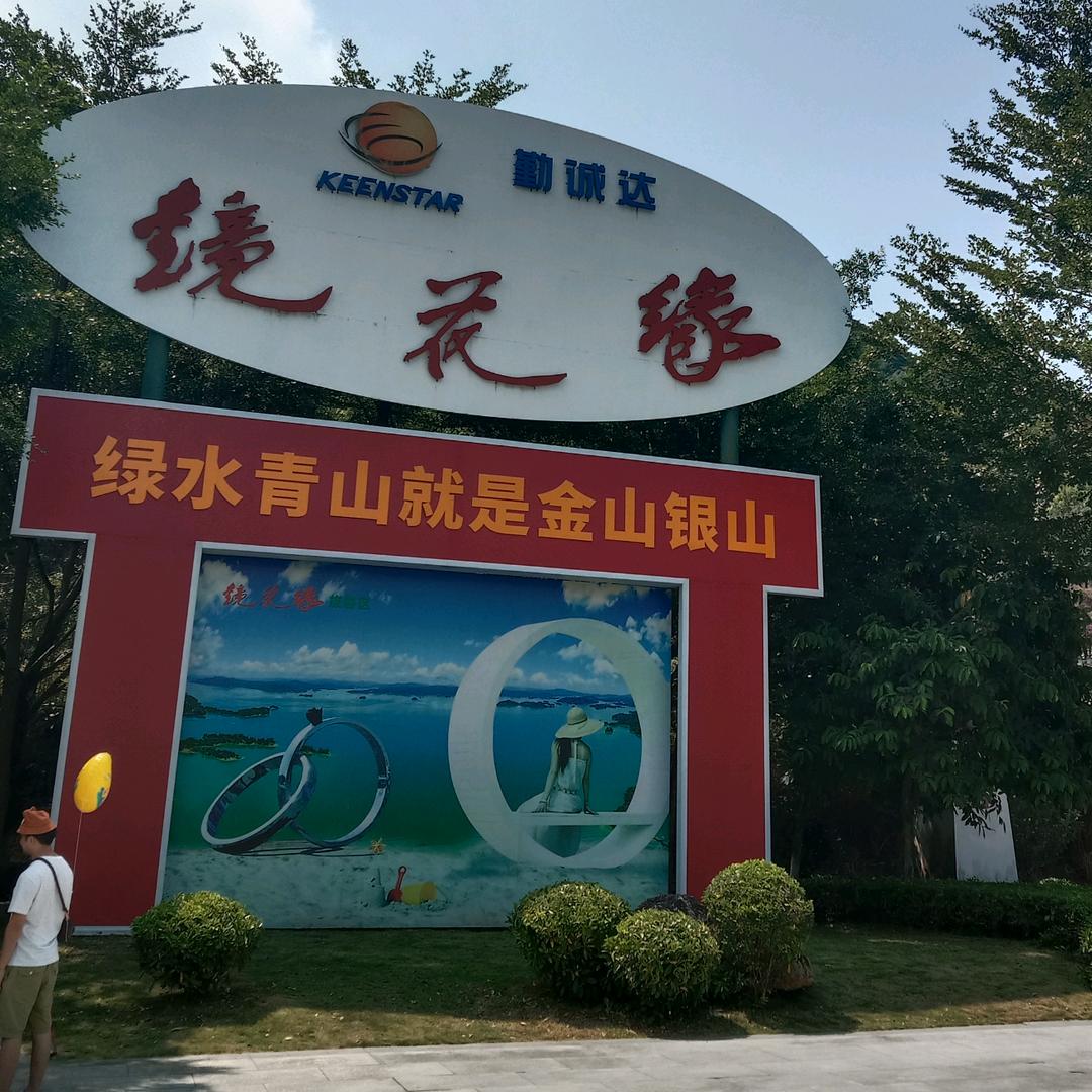 飞翔的心