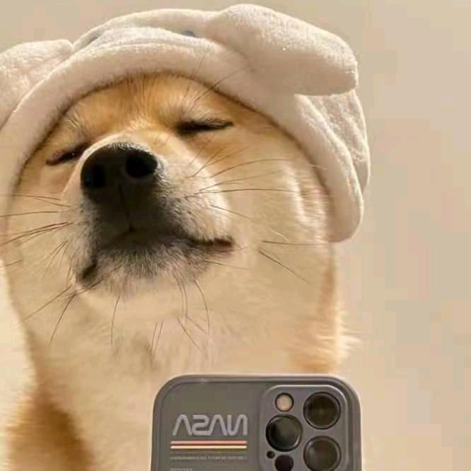 @杨杨
