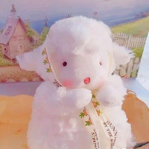 洋洋洒洒是个富婆