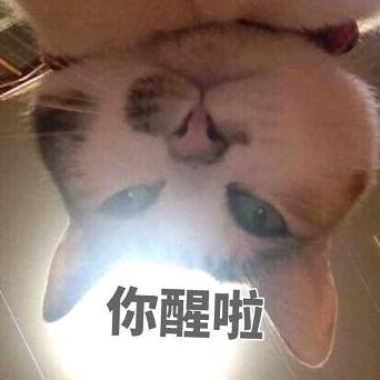 嘿某某