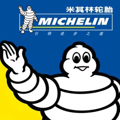 浩悦5的小狮子