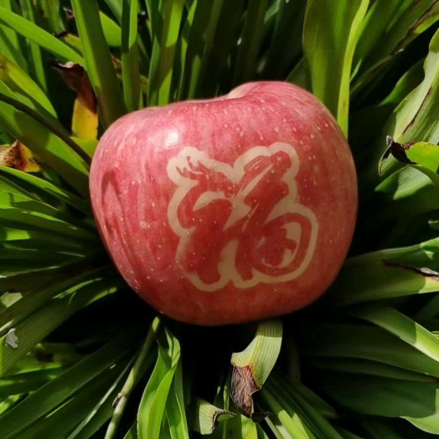 🍎洛川&泥土🍎