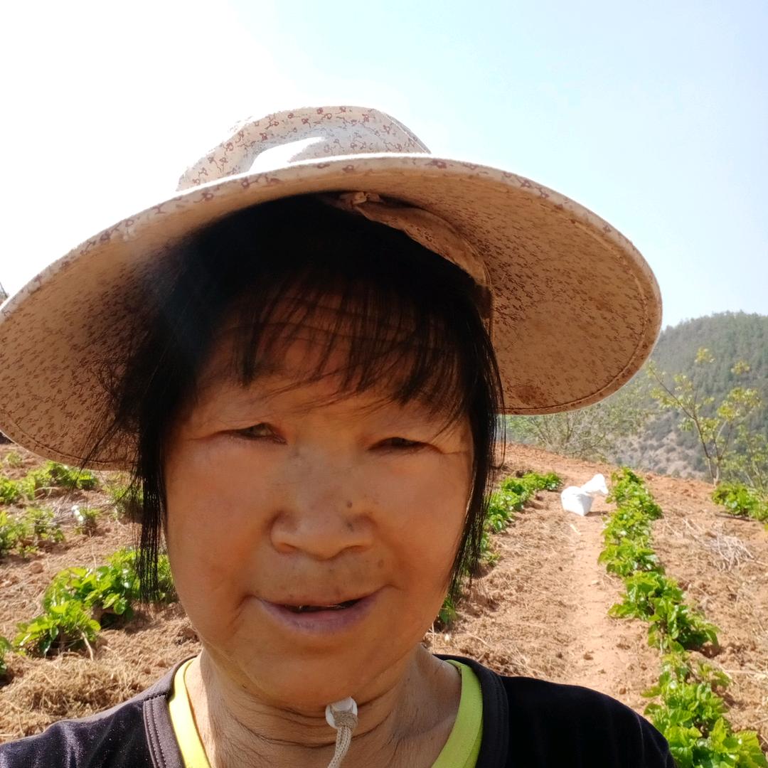 美兰