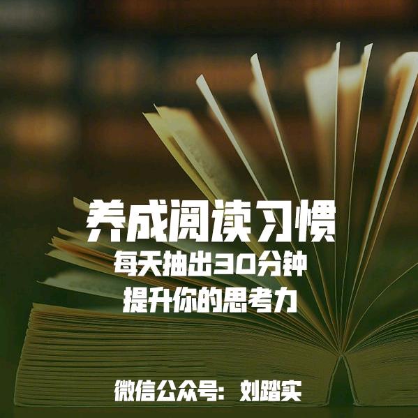 刘踏实