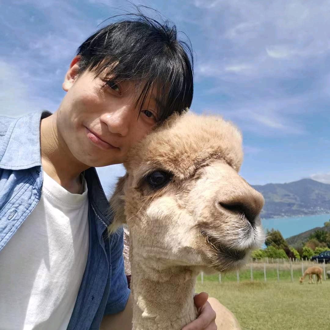 科学家和猪