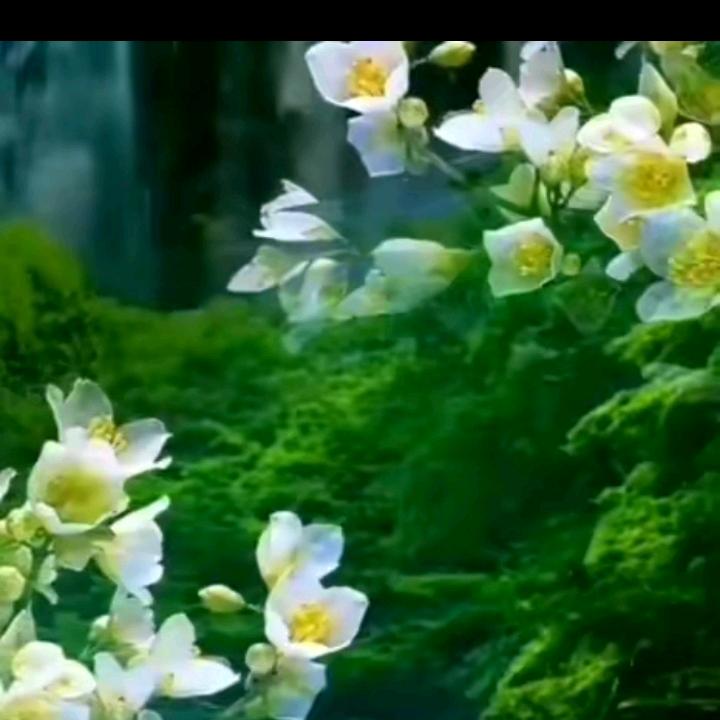 美满家庭