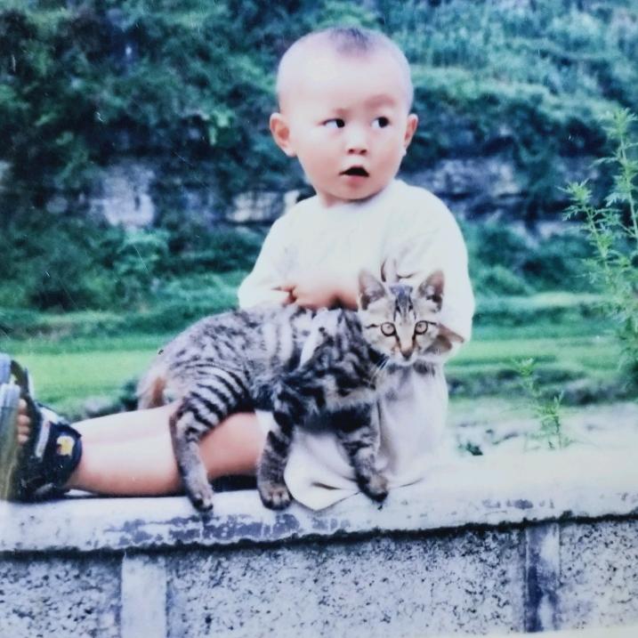 我姓陈就缺点存款