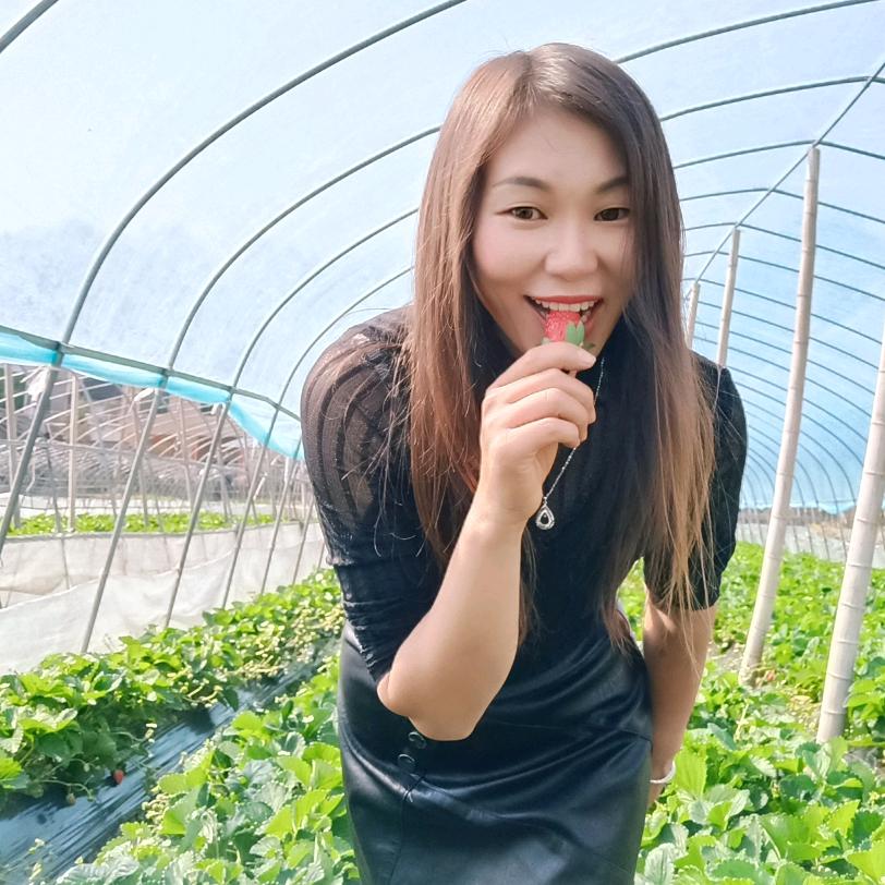 @白水洞草莓园