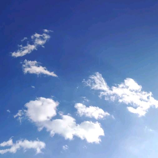 崔树选63年2月2日兔