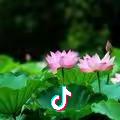 余生与歌