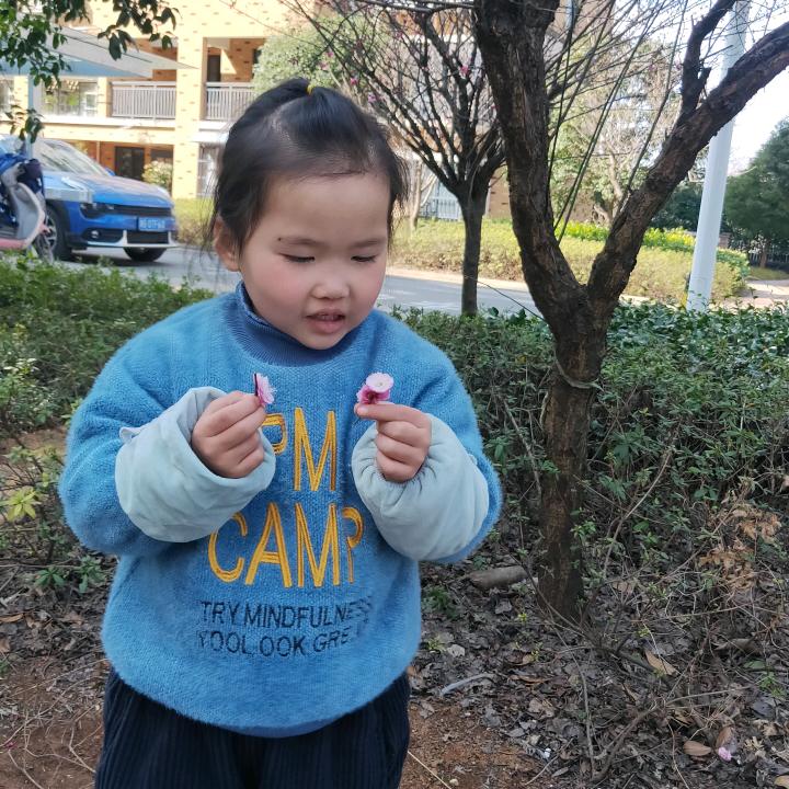 苛瑶瑶