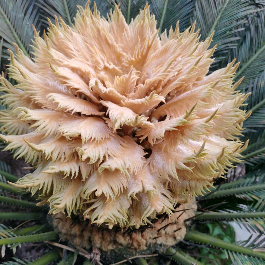 🌸70后爱运动的农村人