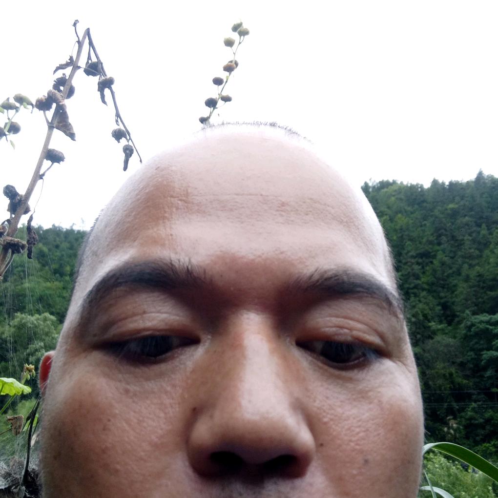 王宝华