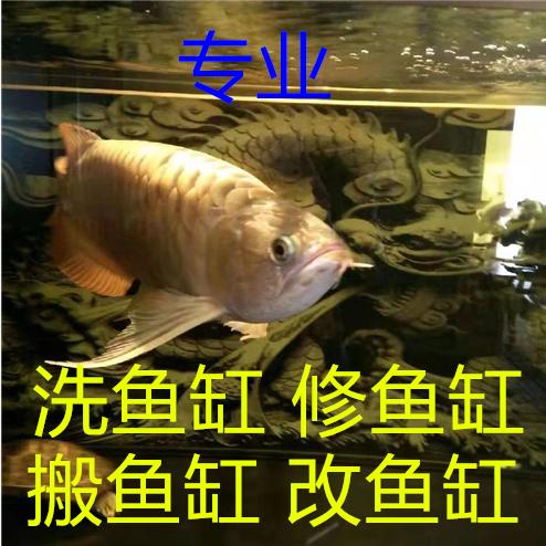 太原鱼缸清洗 维修服务部[妙管家水族]