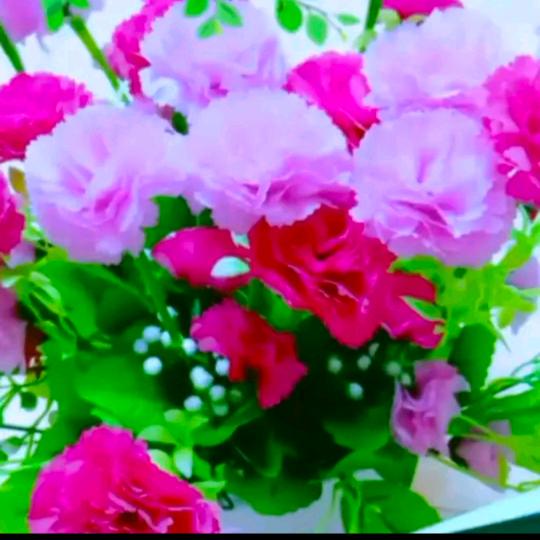٩(余生๛˘爱 ³自己˘)۶♥🥀