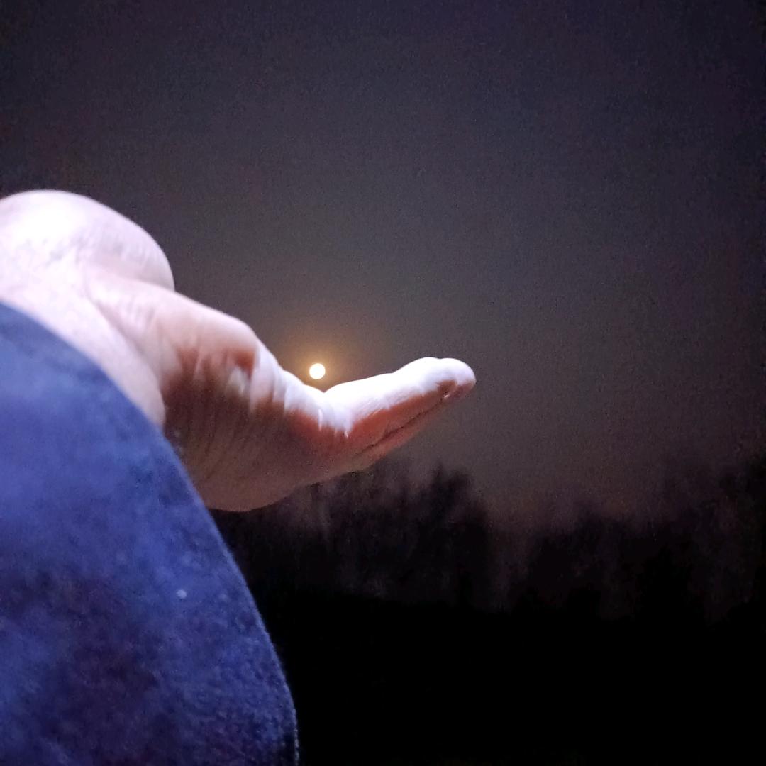 七秒钟的记忆