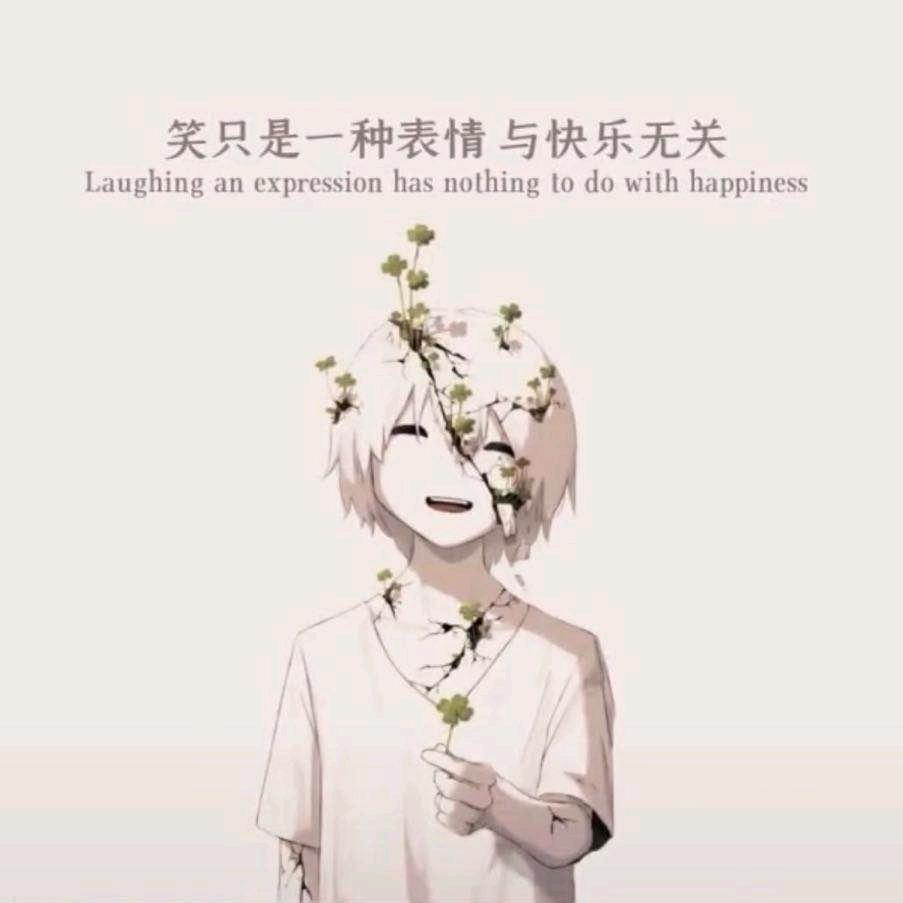 心灵老鸭汤