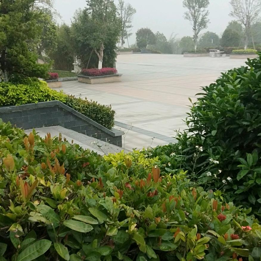 灿烂的阳光