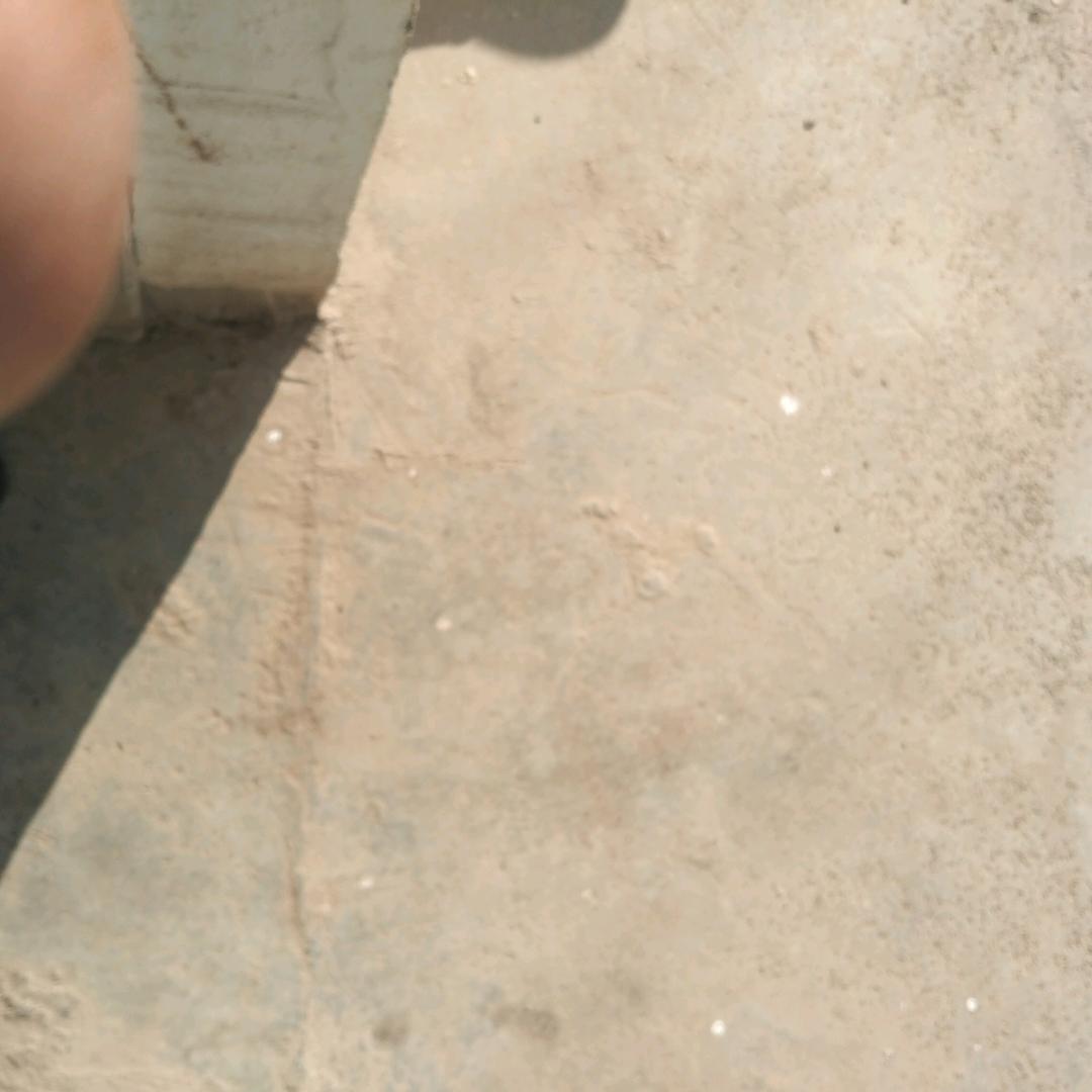 用户3251517773664