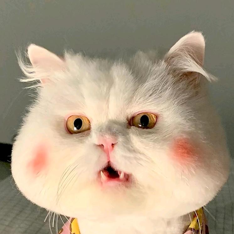 biubiu