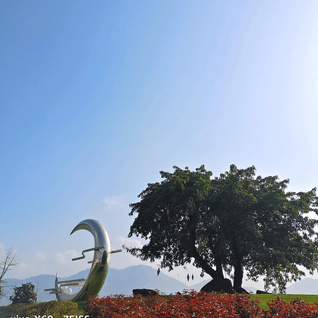 面条姐（好物分享）