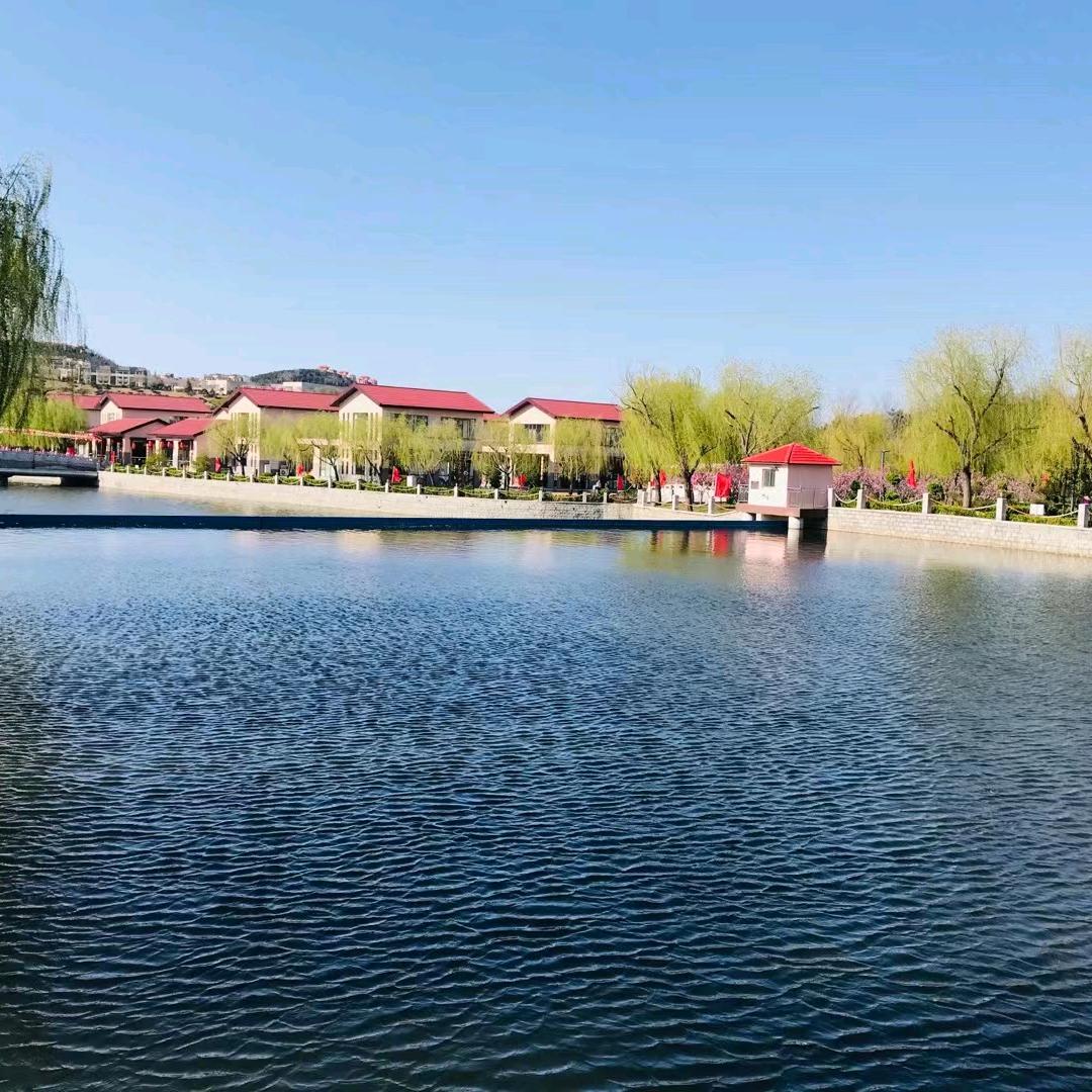 龙口市世纪丰源房产中介服务部