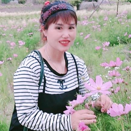红尘相伴🌹🌹🌹🌹