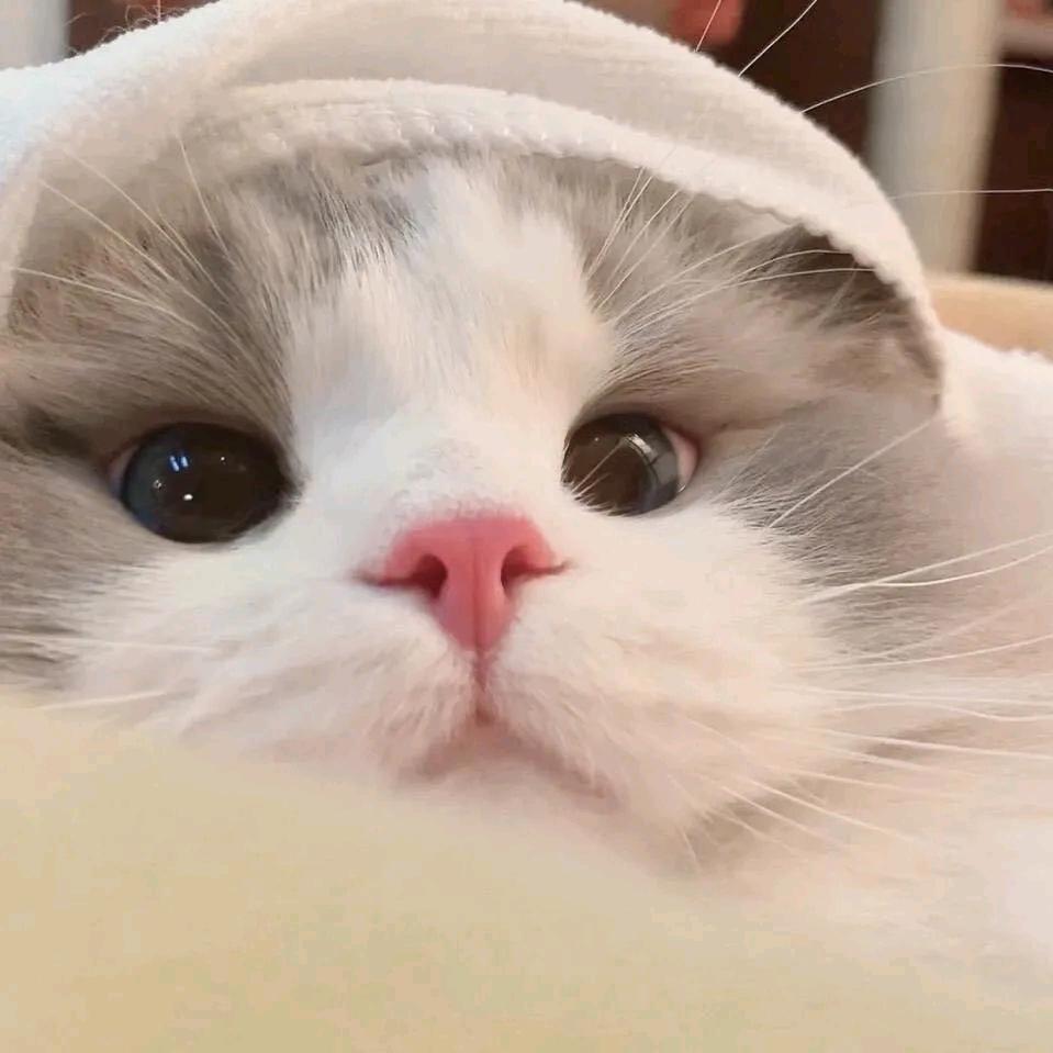 sss