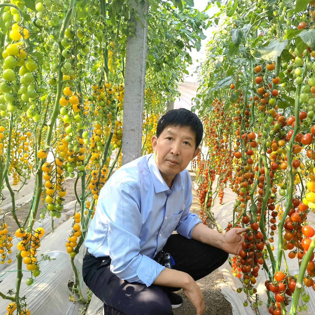 天天学农一分钟轻松学种菜