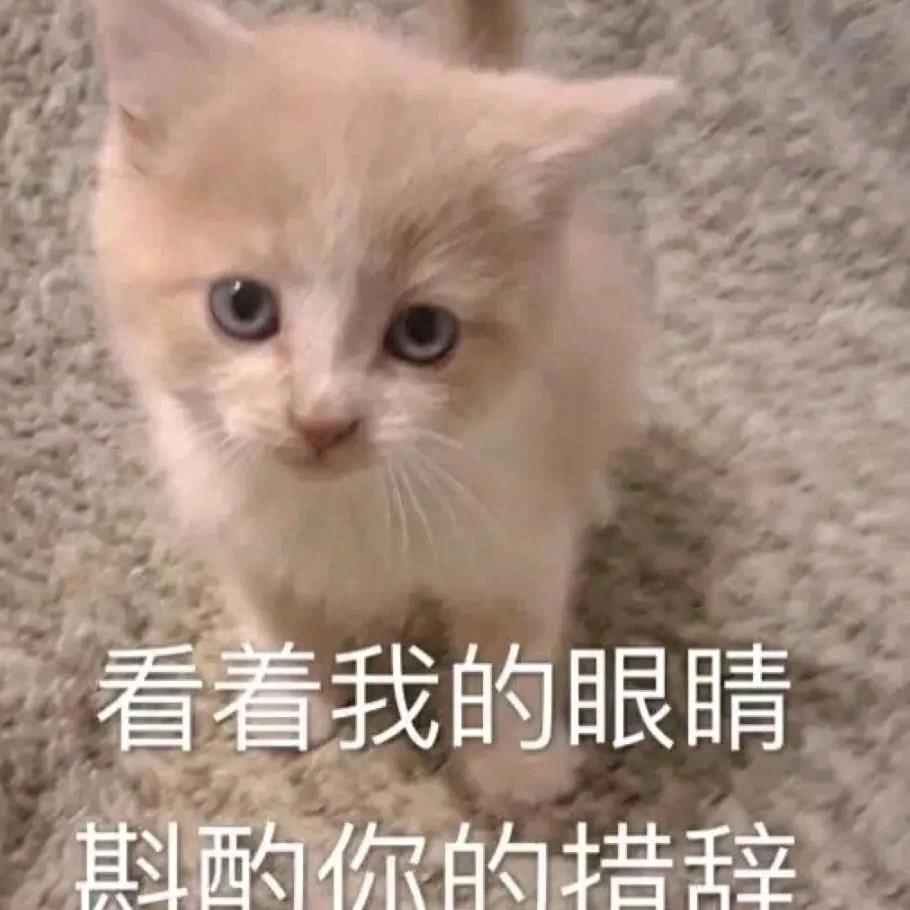 陈天睡大觉……