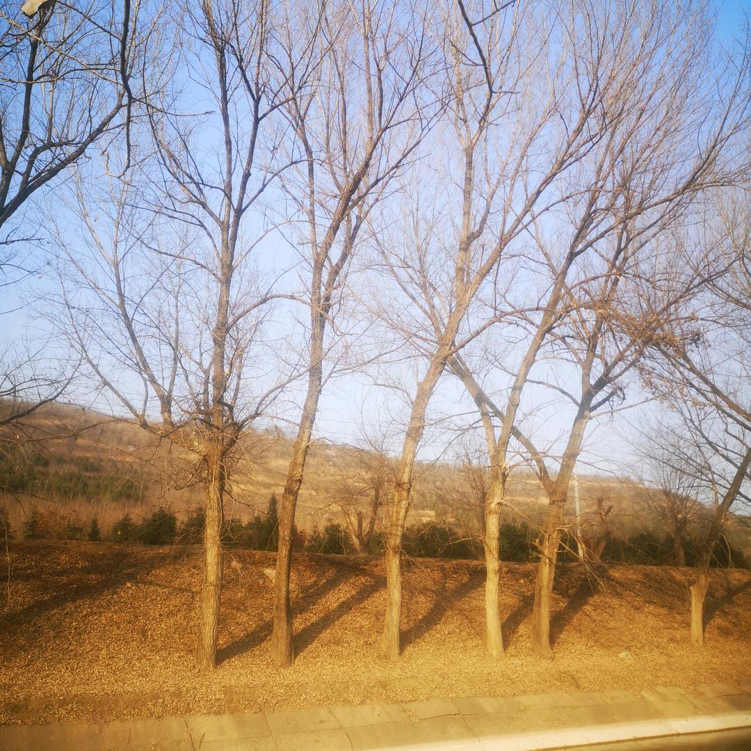 春回大地又一年