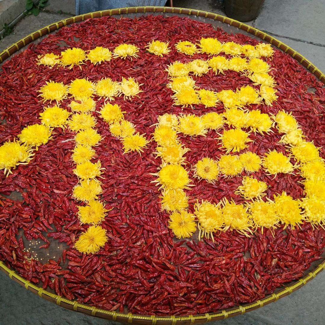 朱艳玲